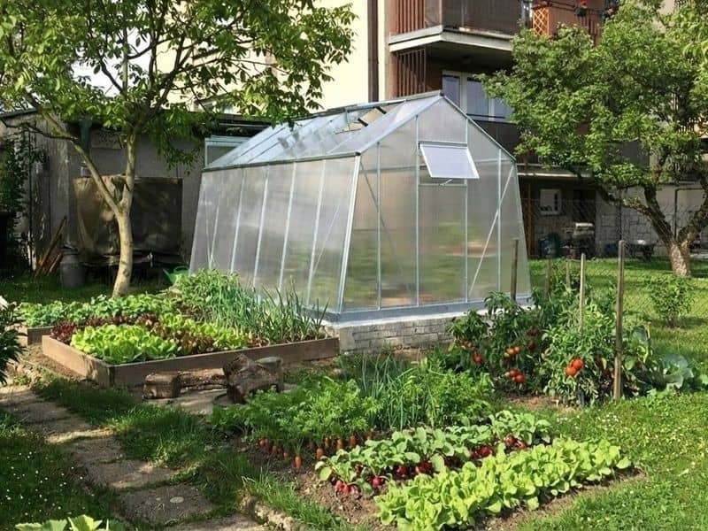 Skleník ze skla LIMES Viva 6 v zahradě